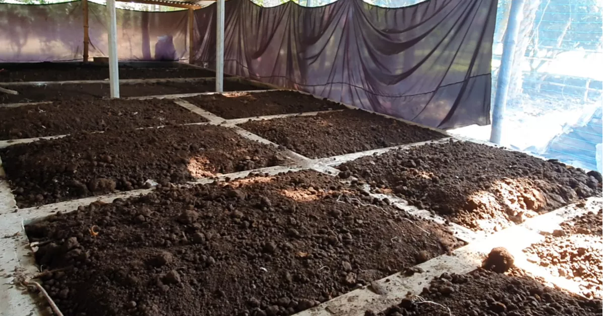 Organic Fertilizer - 1