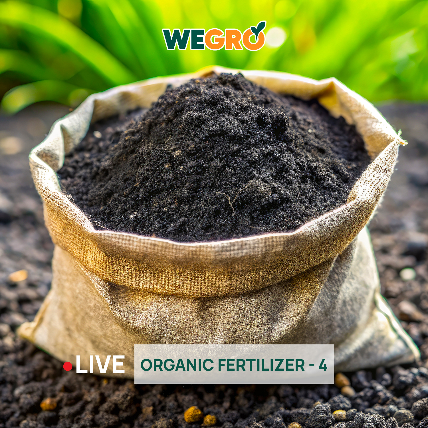 Organic Fertilizer - 4
