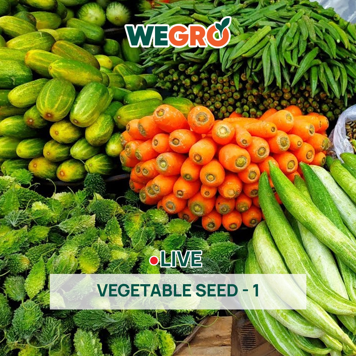 Vegetable Seed - 1