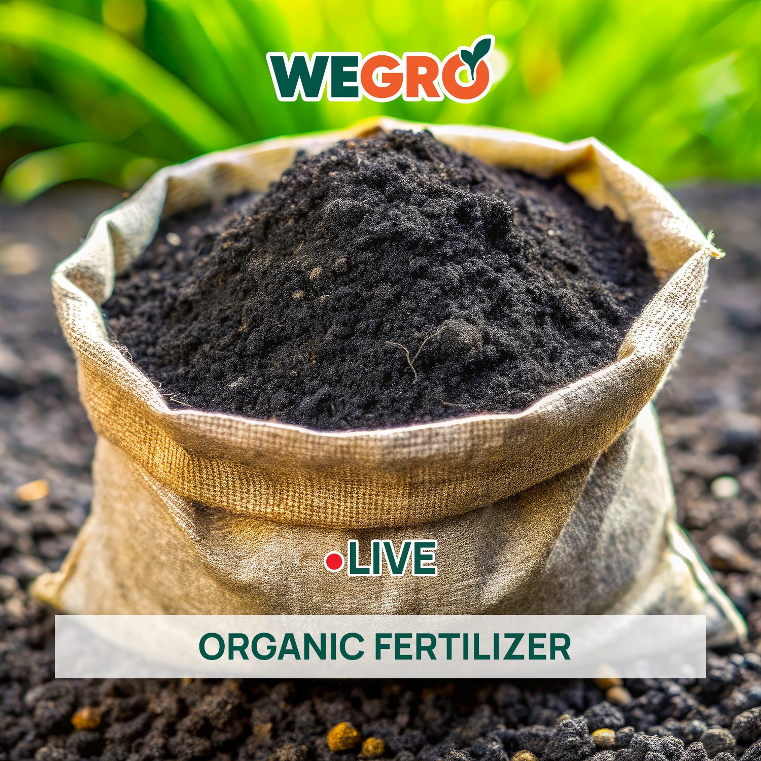 Organic Fertilizer - 10