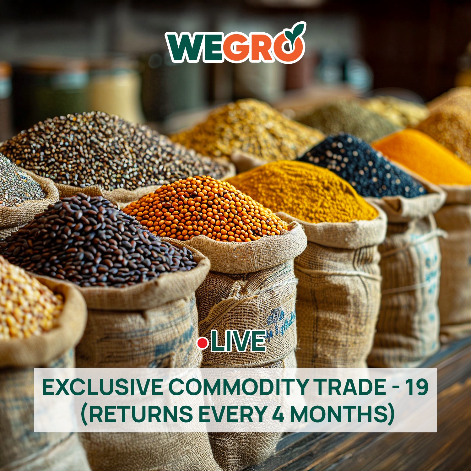 Exclusive Commodity Trade - 19 (Returns Every 4 Months)