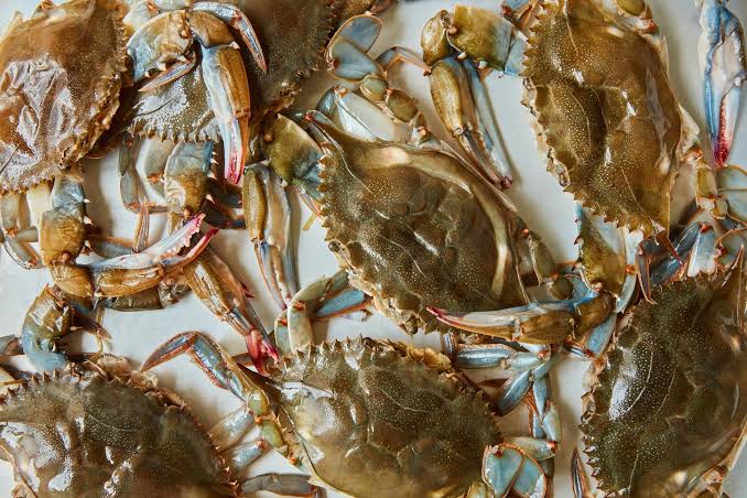 Soft Shell Crab