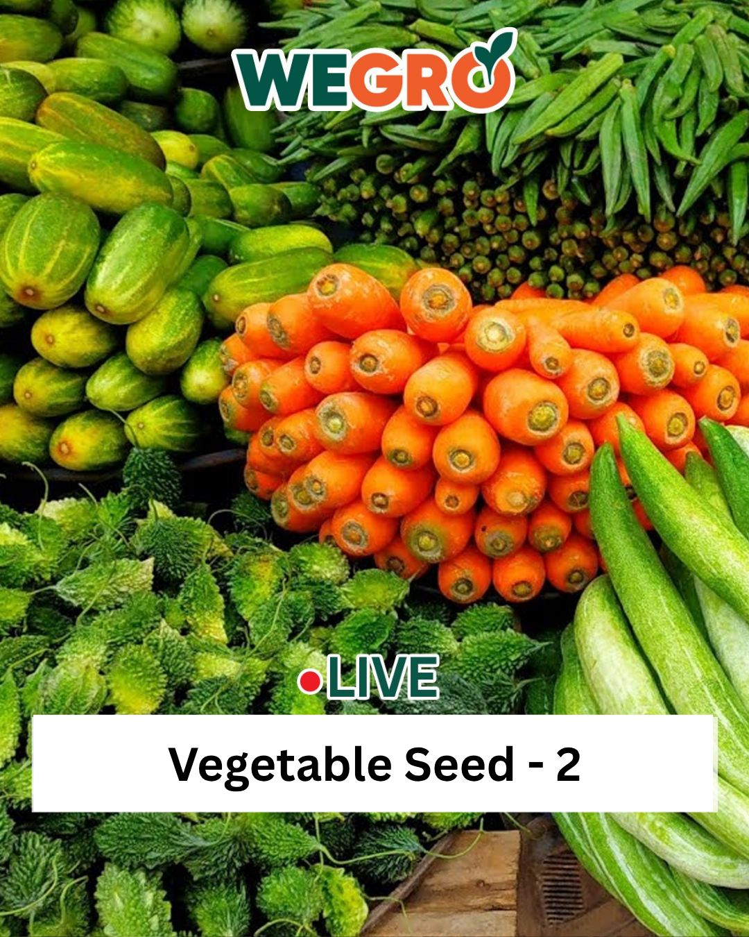 Vegetable Seed - 2