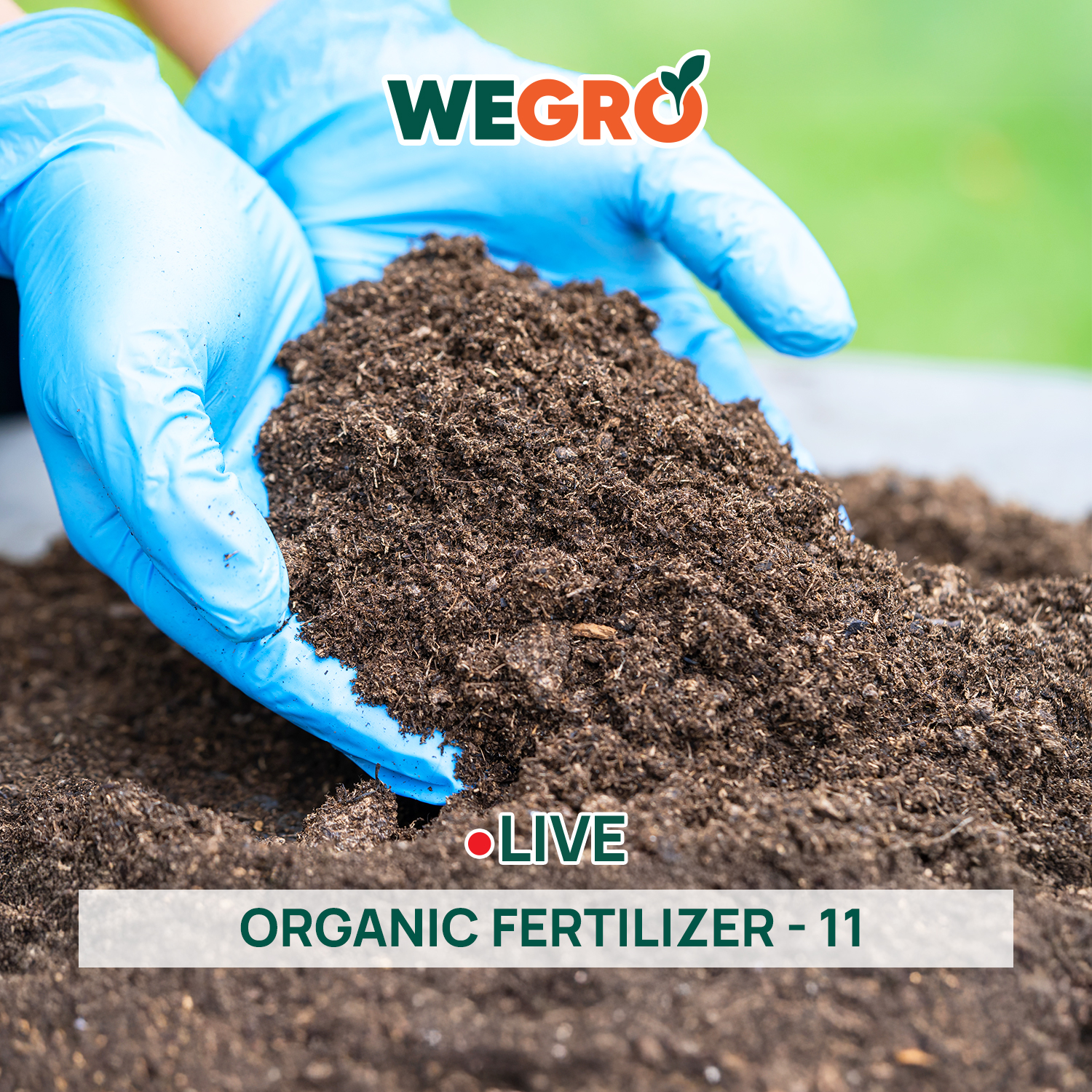 Organic Fertilizer - 11