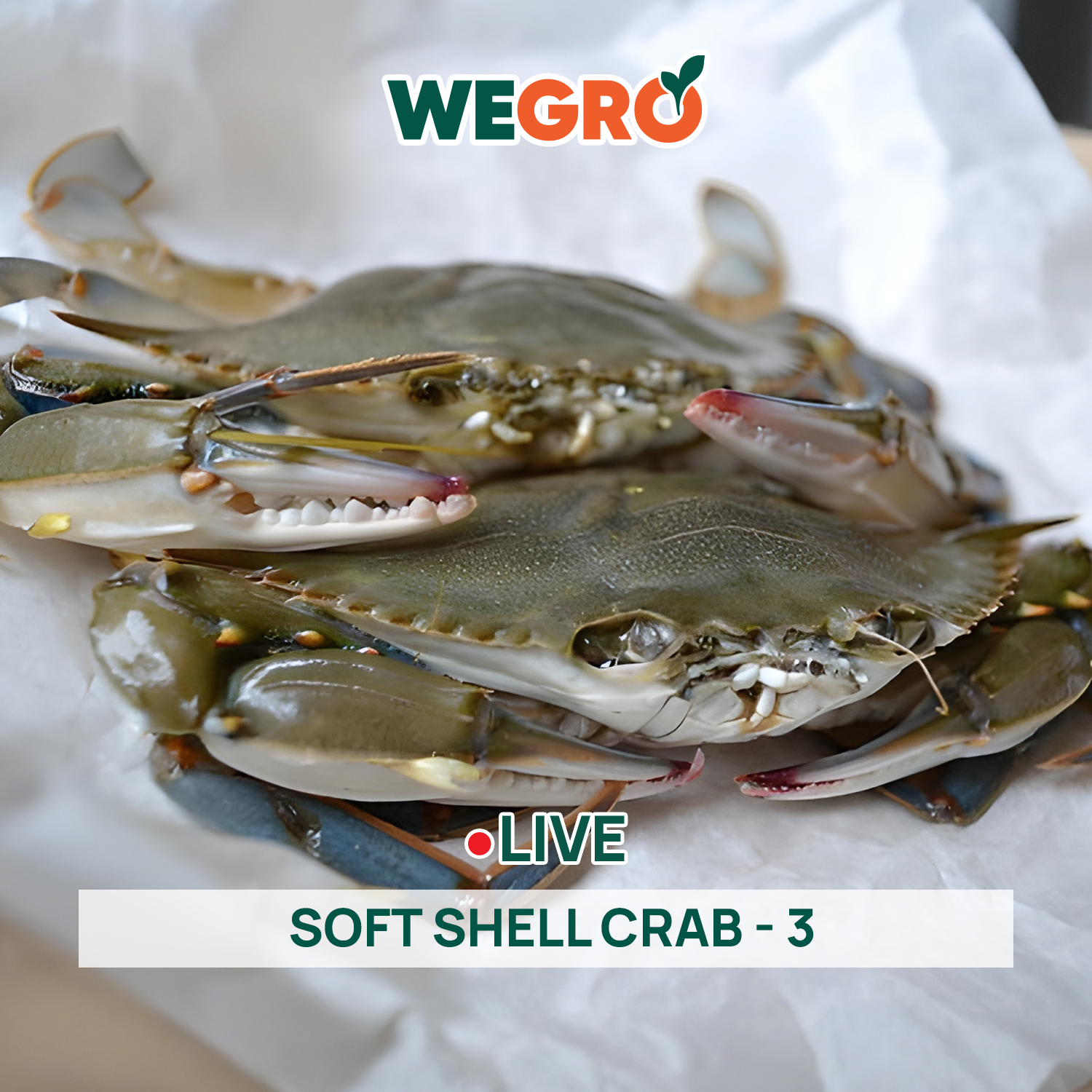 Soft Shell Crab - 3