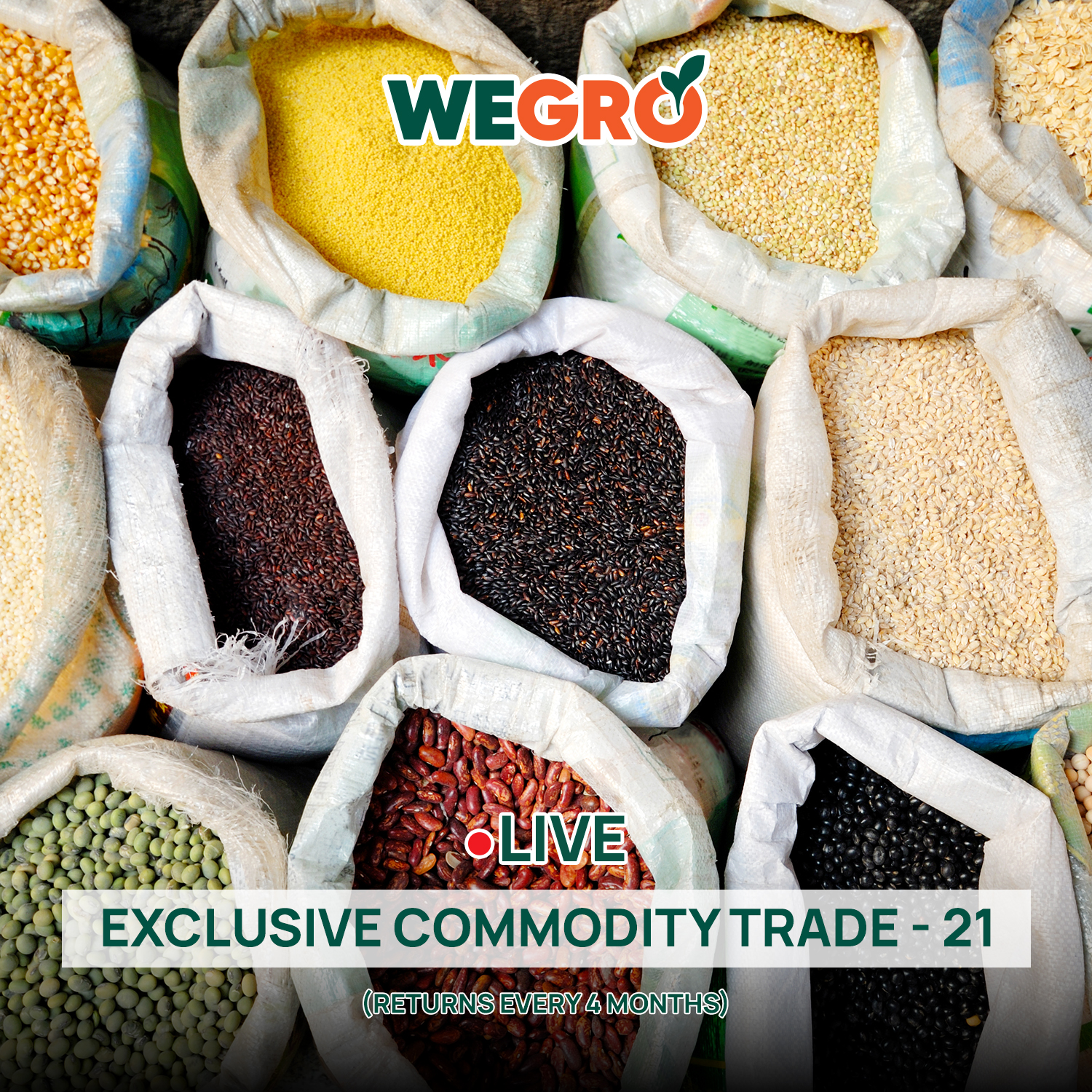 Exclusive Commodity Trade - 21 (Returns Every 4 Months)